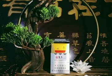 女人头像的进口香烟